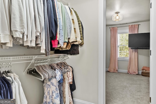 155 Bear Paw Ct, Clarkesville, GA 30523 - walk in closet featuring carpet