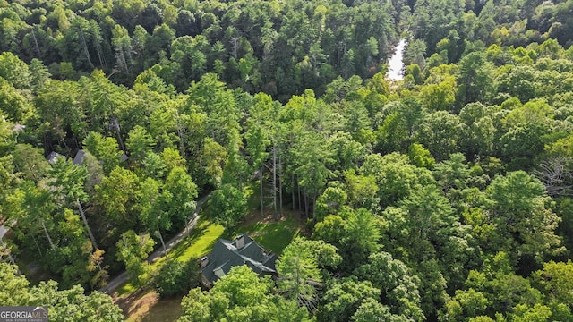 155 Bear Paw Ct, Clarkesville, GA 30523 - view of property location featuring a forest