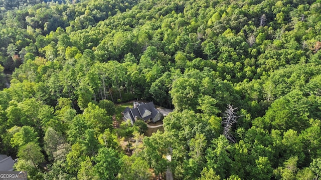 155 Bear Paw Ct, Clarkesville, GA 30523 - view of property location featuring a heavily wooded area