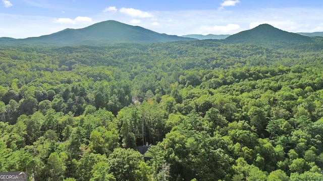 155 Bear Paw Ct, Clarkesville, GA 30523 - view of mountain background featuring a forest