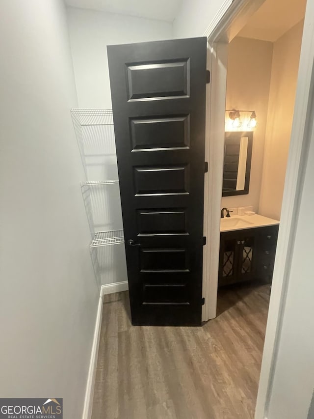 1333 Happy Hill Rd, Carrollton, GA 30116 - spacious closet featuring wood finished floors and a sink