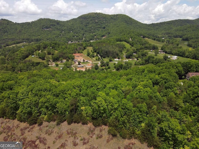 0 Hawkview, Hiawassee, GA 30546