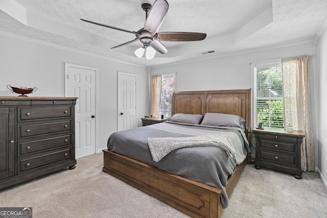 70 Otara Woods Ct, Newnan, GA 30263 - bedroom with light colored carpet, multiple windows, a textured ceiling, ornamental molding, and a tray ceiling