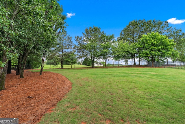2036 Jefferson Hall Dr, Monroe, GA 30656 - view of yard