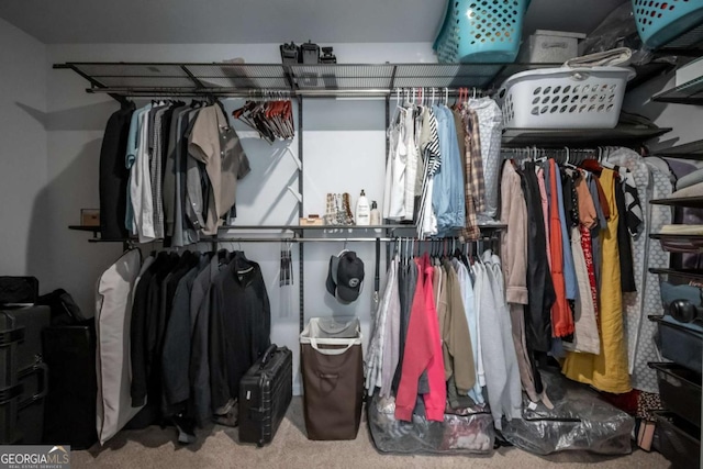 35 Westwood St, Danielsville, GA 30633 - walk in closet with carpet flooring