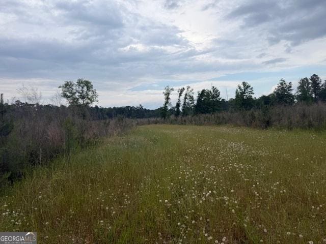 200/-AC County Road 112, Columbia, AL 36319