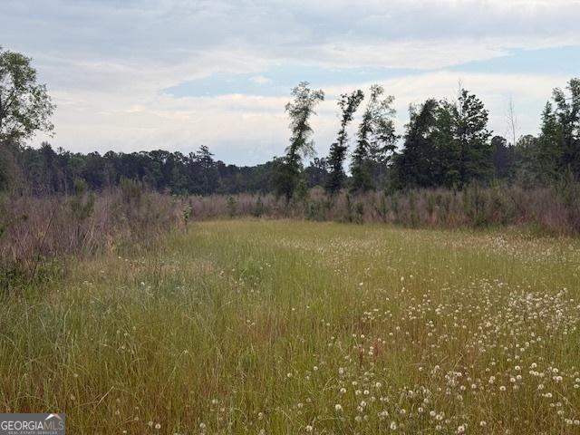 200/-AC County Road 112, Columbia, AL 36319