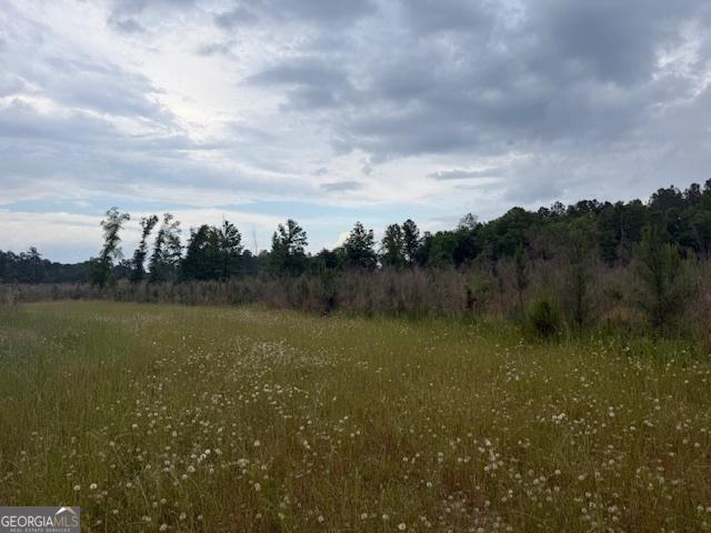 200/-AC County Road 112, Columbia, AL 36319