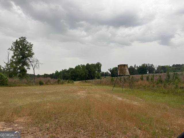200/-AC County Road 112, Columbia, AL 36319