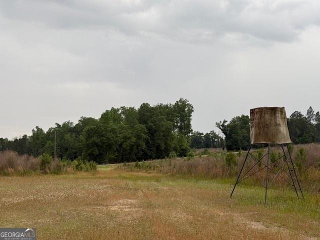 200/-AC County Road 112, Columbia, AL 36319