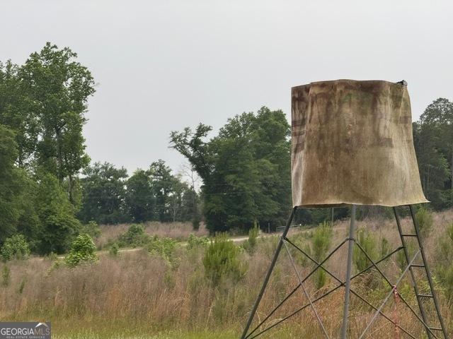 200/-AC County Road 112, Columbia, AL 36319