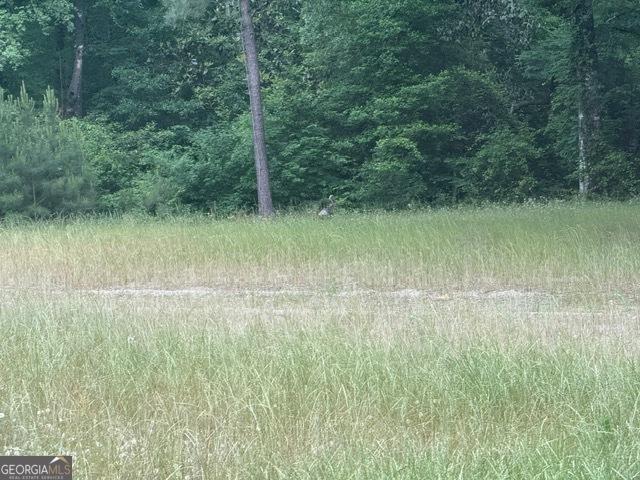 200/-AC County Road 112, Columbia, AL 36319