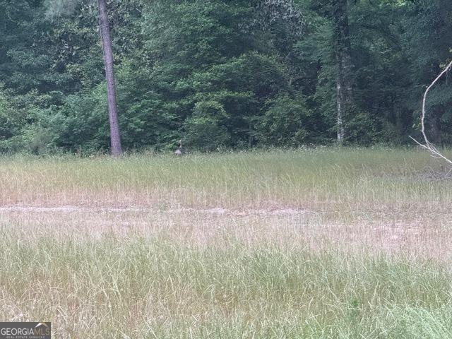 200/-AC County Road 112, Columbia, AL 36319