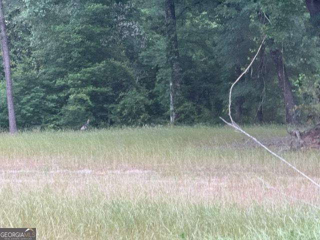200/-AC County Road 112, Columbia, AL 36319