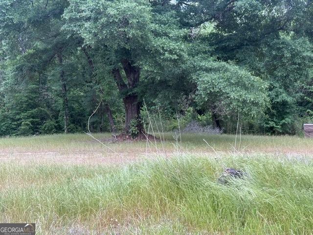200/-AC County Road 112, Columbia, AL 36319