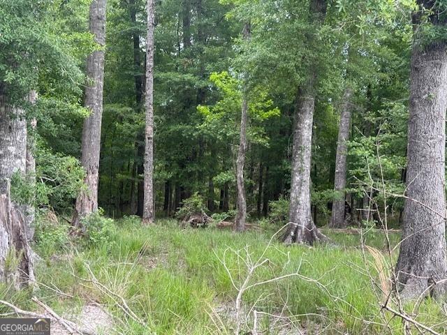 200/-AC County Road 112, Columbia, AL 36319