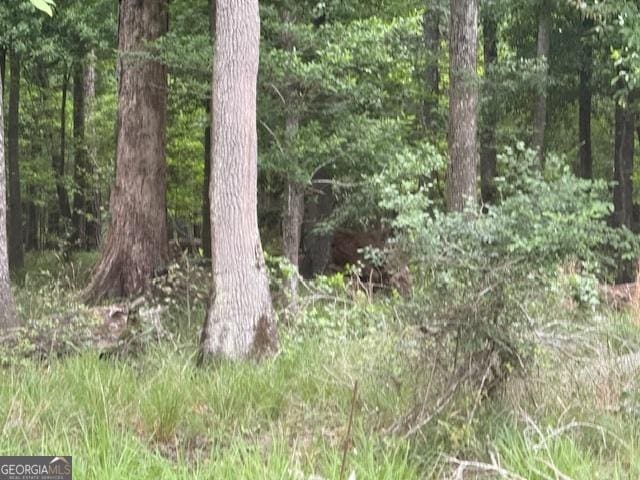 200/-AC County Road 112, Columbia, AL 36319