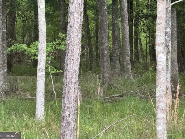 200/-AC County Road 112, Columbia, AL 36319