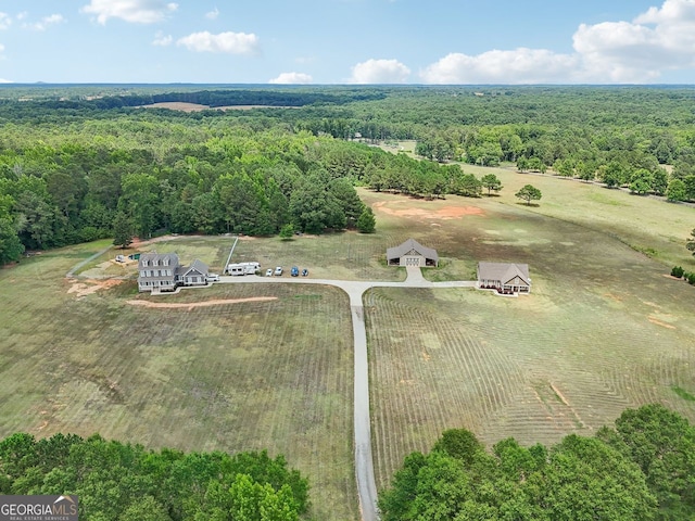 625 Henderson Mill Rd, Covington, GA 30014 - drone / aerial view of a forest