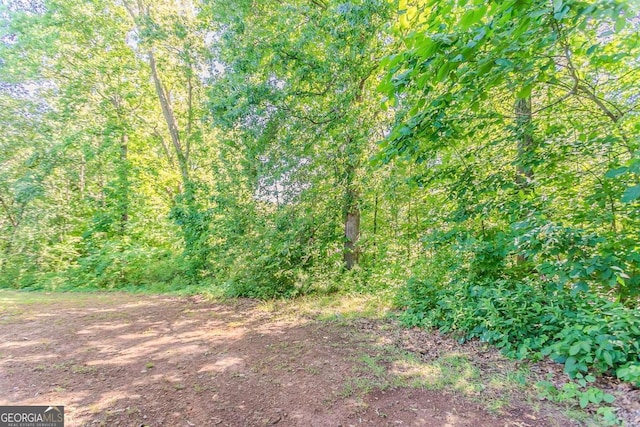 42 Breckenridge Dr, Powder Springs, GA 30127 - view of nature