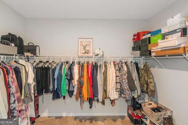 1243 Polk Xing, Mcdonough, GA 30252 - walk in closet featuring carpet floors