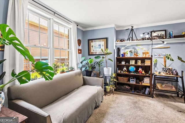 4251 Lantern Hill Dr, Dacula, GA 30019 - sitting room featuring carpet and crown molding