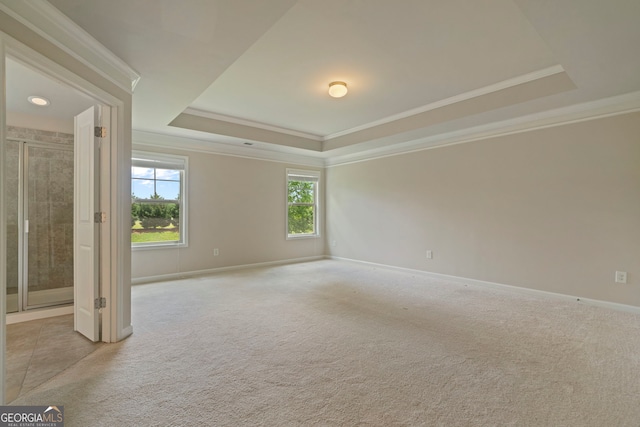 4650 Pleasant Woods Dr, Cumming, GA 30028 - empty room featuring a raised ceiling, ornamental molding, light carpet, and baseboards