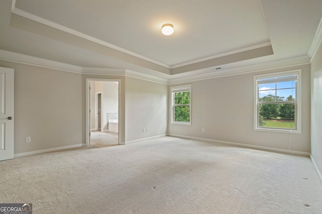 4650 Pleasant Woods Dr, Cumming, GA 30028 - empty room featuring a raised ceiling, ornamental molding, carpet, and baseboards
