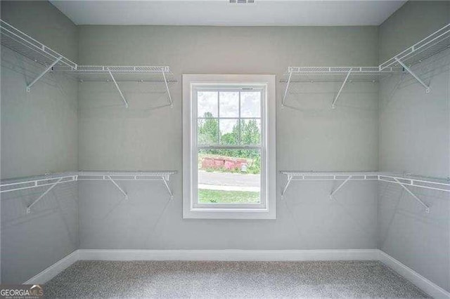349 Creek Wood Park Dr, Ball Ground, GA 30107 - view of spacious closet