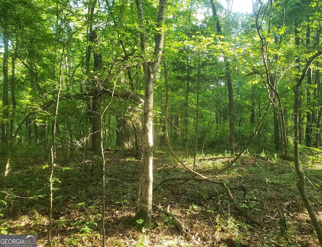 0 Grayson Trl, Hogansville, GA 30230