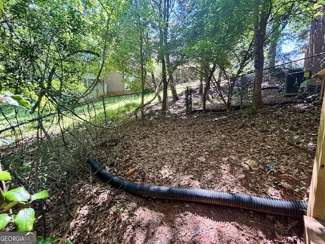 119 E Surry Ct, Athens, GA 30606 - view of yard