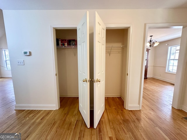 119 E Surry Ct, Athens, GA 30606 - view of closet