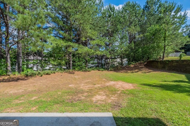 7250 Old Chapel, Atlanta, GA 30349 - view of yard
