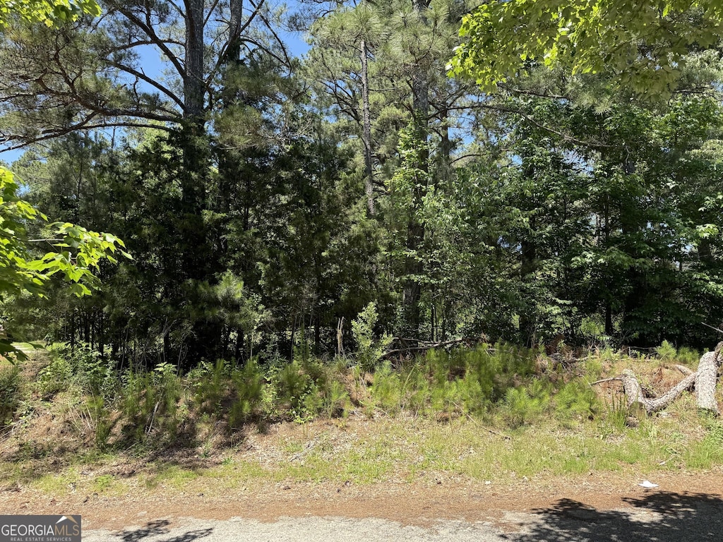 5565 Mason Rd Rear, Rear, South Fulton, GA 30349