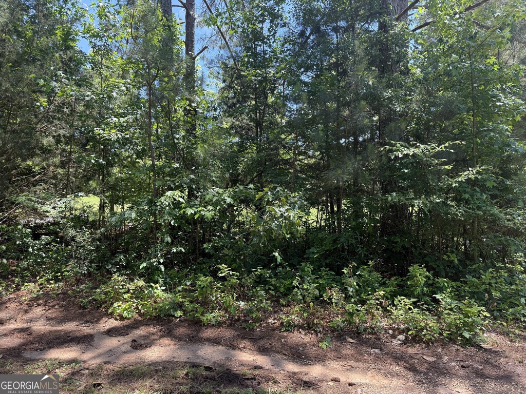 5565 Mason Rd Rear, Rear, South Fulton, GA 30349