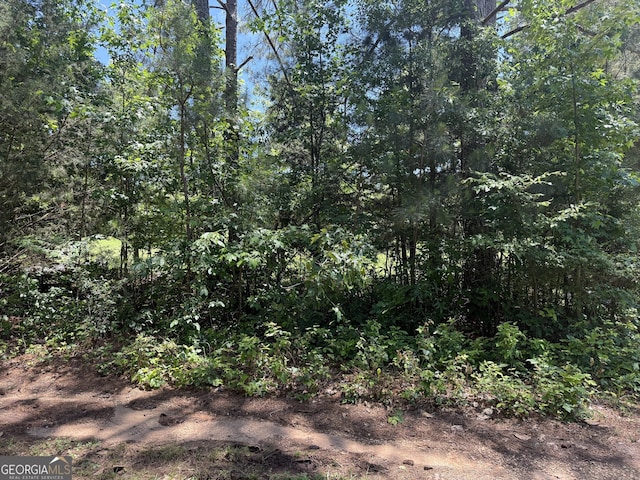 5565 Mason Rd Rear, Rear, South Fulton, GA 30349