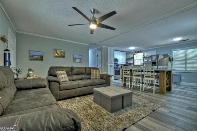 151 Padget Ln, Ellijay, GA 30540 - living room with ceiling fan, wood finished floors, ornamental molding, a textured ceiling, and baseboards