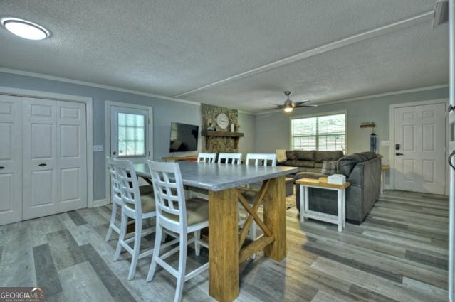 151 Padget Ln, Ellijay, GA 30540 - dining area with light wood-type flooring, a textured ceiling, crown molding, and a ceiling fan