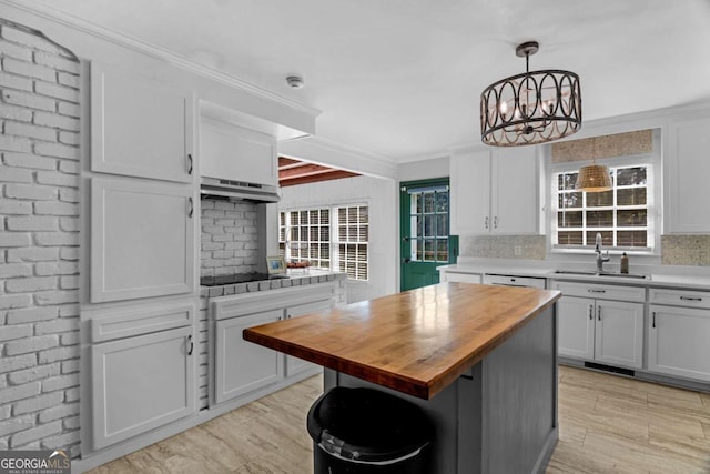 1504 Danora Dr, Waycross, GA 31501 - kitchen with wooden counters, under cabinet range hood, light wood-style flooring, white cabinetry, and crown molding