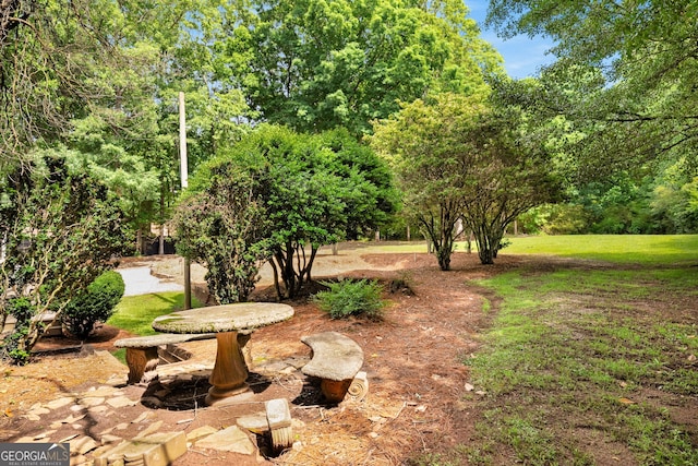 3142 Chamblee Gap Rd, Cumming, GA 30040 - view of yard