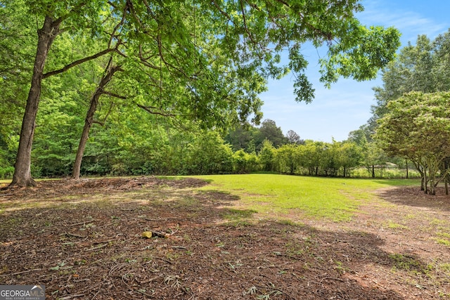 3142 Chamblee Gap Rd, Cumming, GA 30040 - view of yard featuring a view of trees
