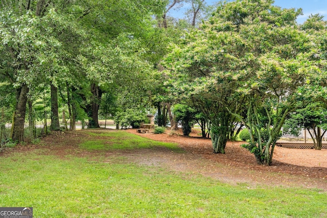 3142 Chamblee Gap Rd, Cumming, GA 30040 - view of yard
