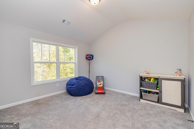 979 Rowe Rd, Senoia, GA 30276 - misc room featuring lofted ceiling, baseboards, and carpet floors