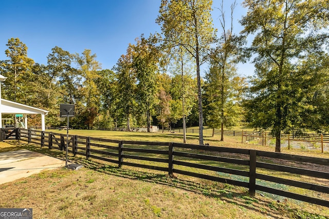 979 Rowe Rd, Senoia, GA 30276 - view of yard with a rural view
