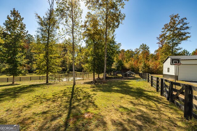 979 Rowe Rd, Senoia, GA 30276 - view of yard