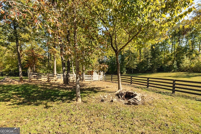 979 Rowe Rd, Senoia, GA 30276 - view of yard