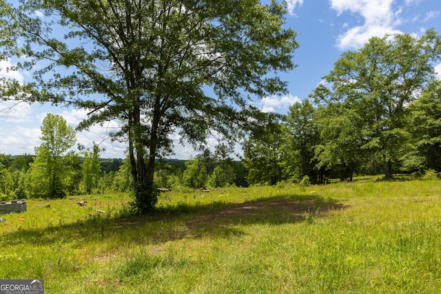 655 White Rd, Thomaston, GA 30286