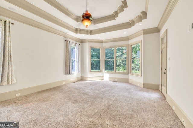 9145 Greenway Ct, Gainesville, GA 30506 - carpeted spare room featuring crown molding, plenty of natural light, a ceiling fan, and a raised ceiling