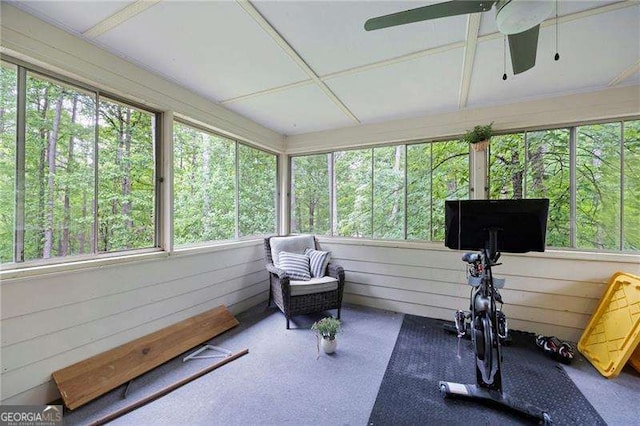 2041 Millspring Way NW, Kennesaw, GA 30152 - sunroom / solarium featuring plenty of natural light and ceiling fan