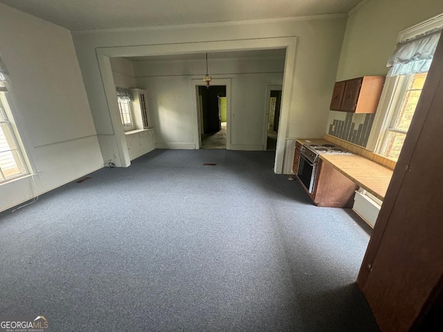 7782 Church St, Bartow, GA 30413 - unfurnished dining area featuring plenty of natural light, carpet flooring, and ornamental molding